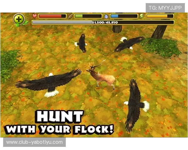 亚搏app官方地址官方平台最新公告与使用指南全攻略